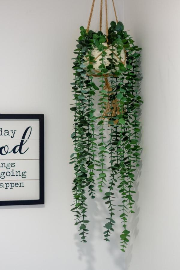 Tuam Street Treasure- 2 Bed 2 Bath Lejlighed Christchurch Eksteriør billede